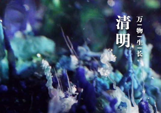 烧杯中的24节气-清明