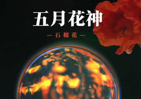 【十二花神】五月：石榴花