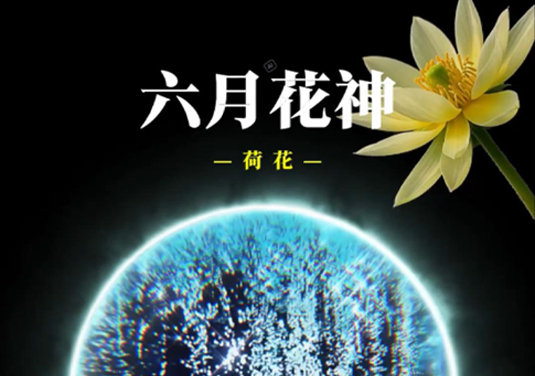 【十二花神】六月：荷花