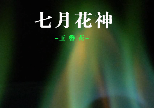 【十二花神】七月：玉簪花